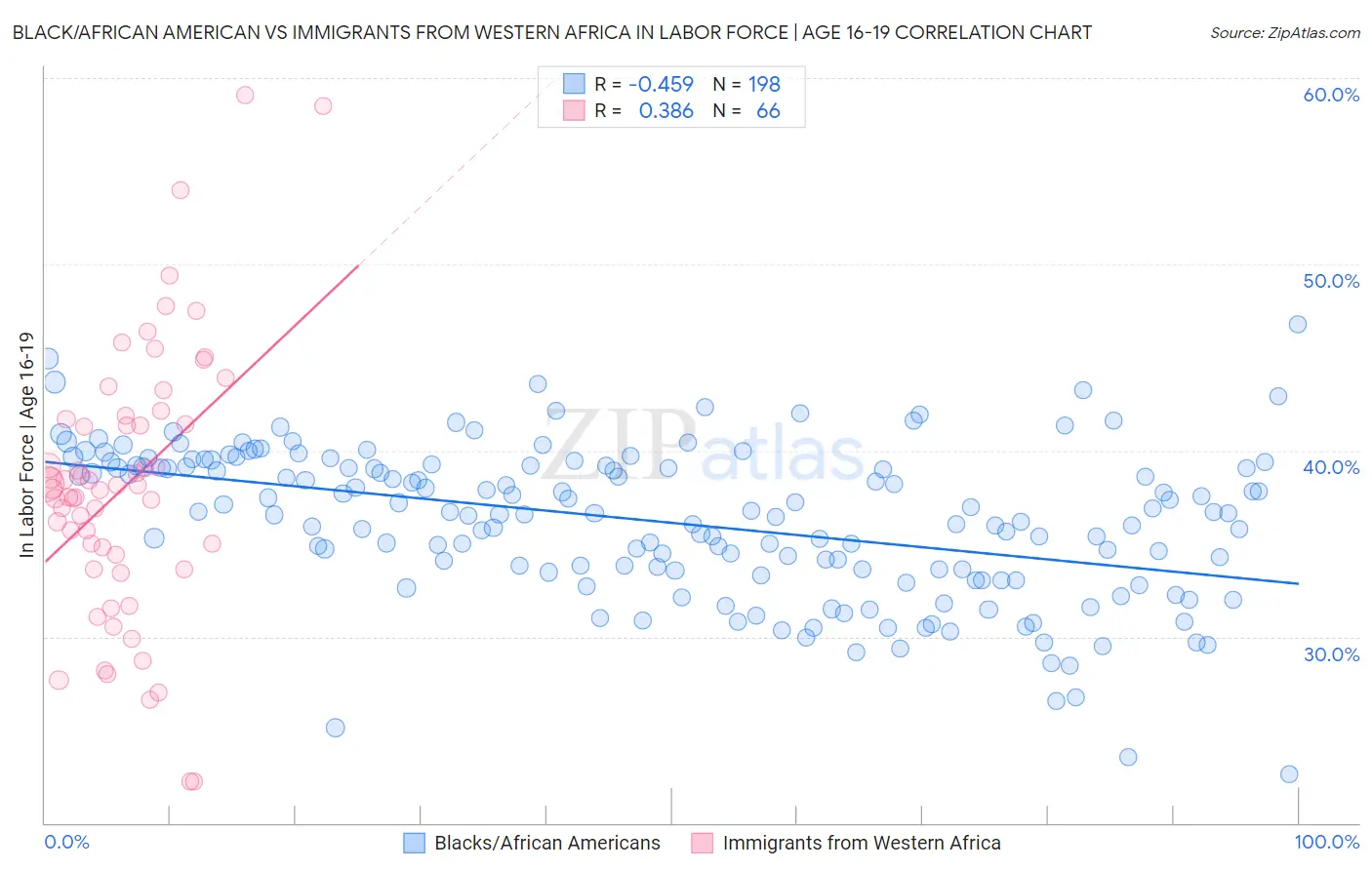 Black/African American vs Immigrants from Western Africa In Labor Force | Age 16-19