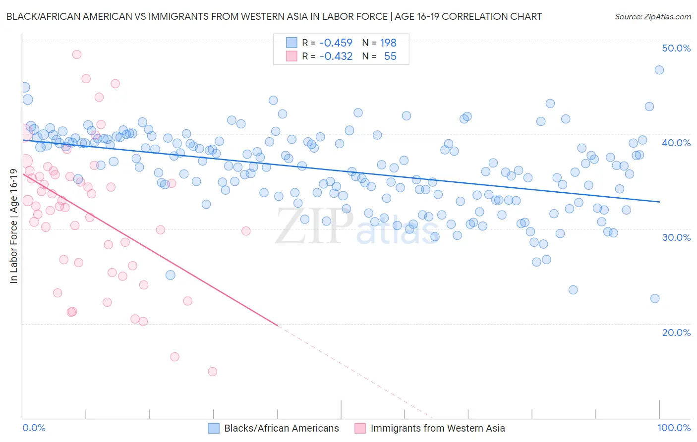 Black/African American vs Immigrants from Western Asia In Labor Force | Age 16-19