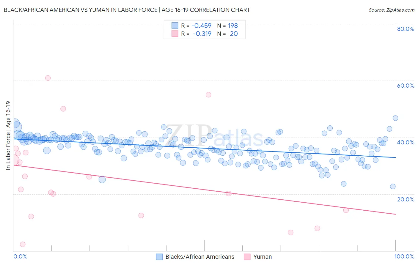Black/African American vs Yuman In Labor Force | Age 16-19