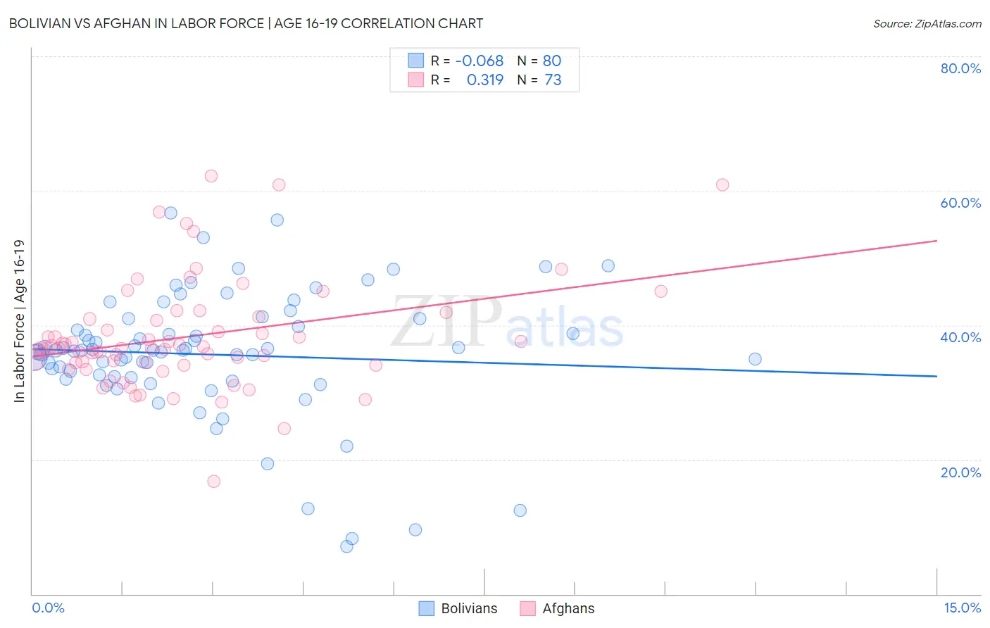 Bolivian vs Afghan In Labor Force | Age 16-19