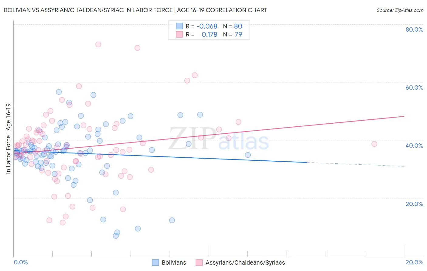 Bolivian vs Assyrian/Chaldean/Syriac In Labor Force | Age 16-19