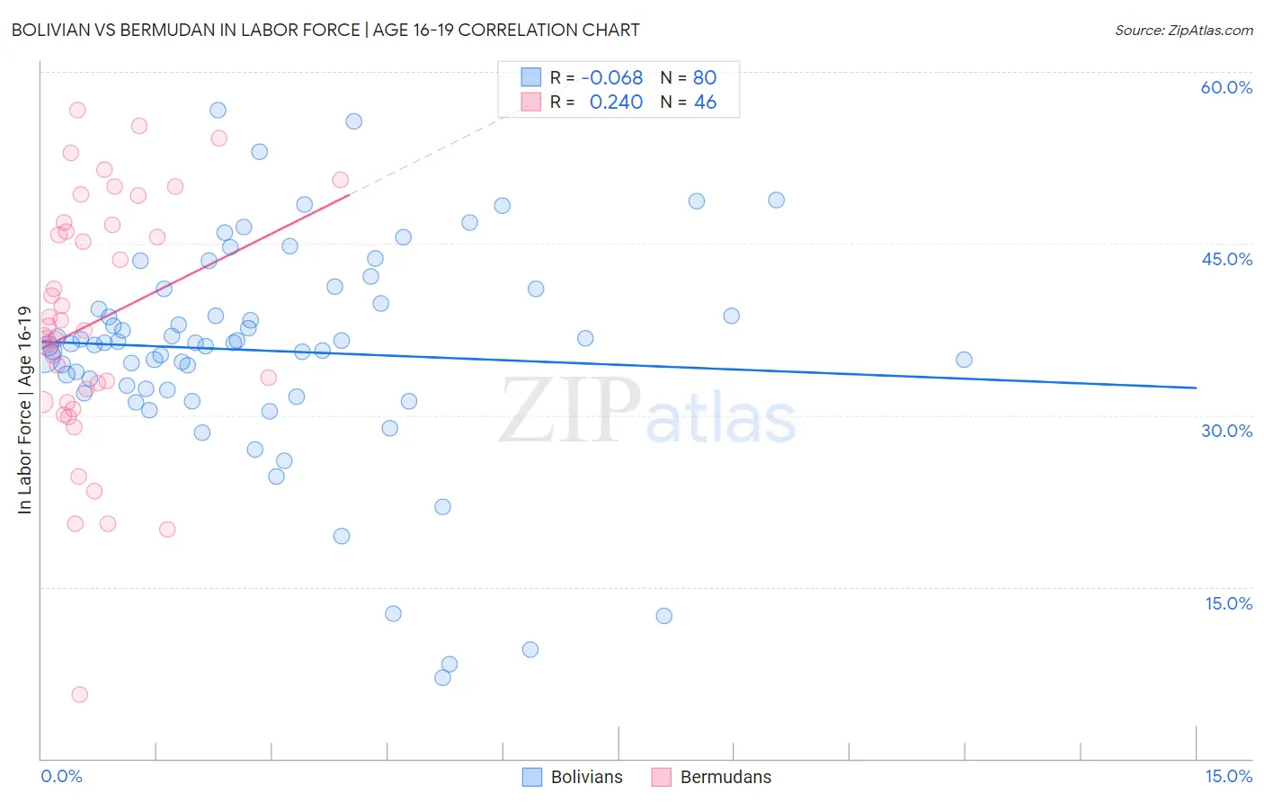 Bolivian vs Bermudan In Labor Force | Age 16-19