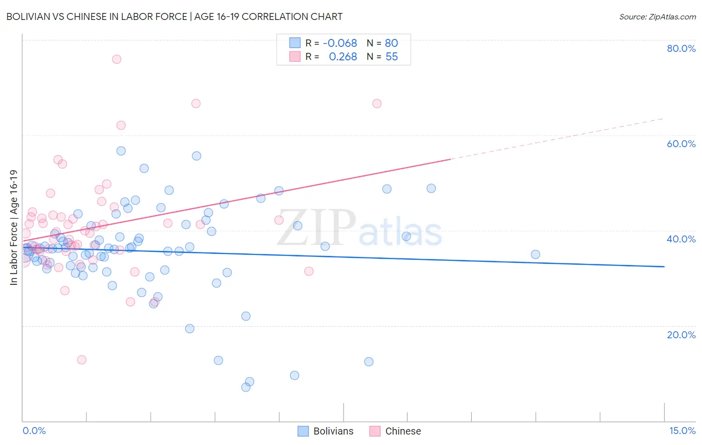 Bolivian vs Chinese In Labor Force | Age 16-19