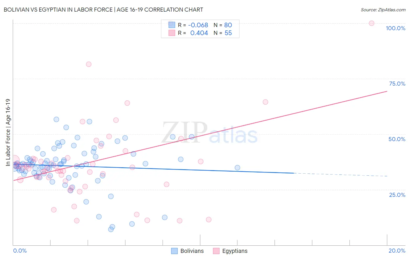Bolivian vs Egyptian In Labor Force | Age 16-19