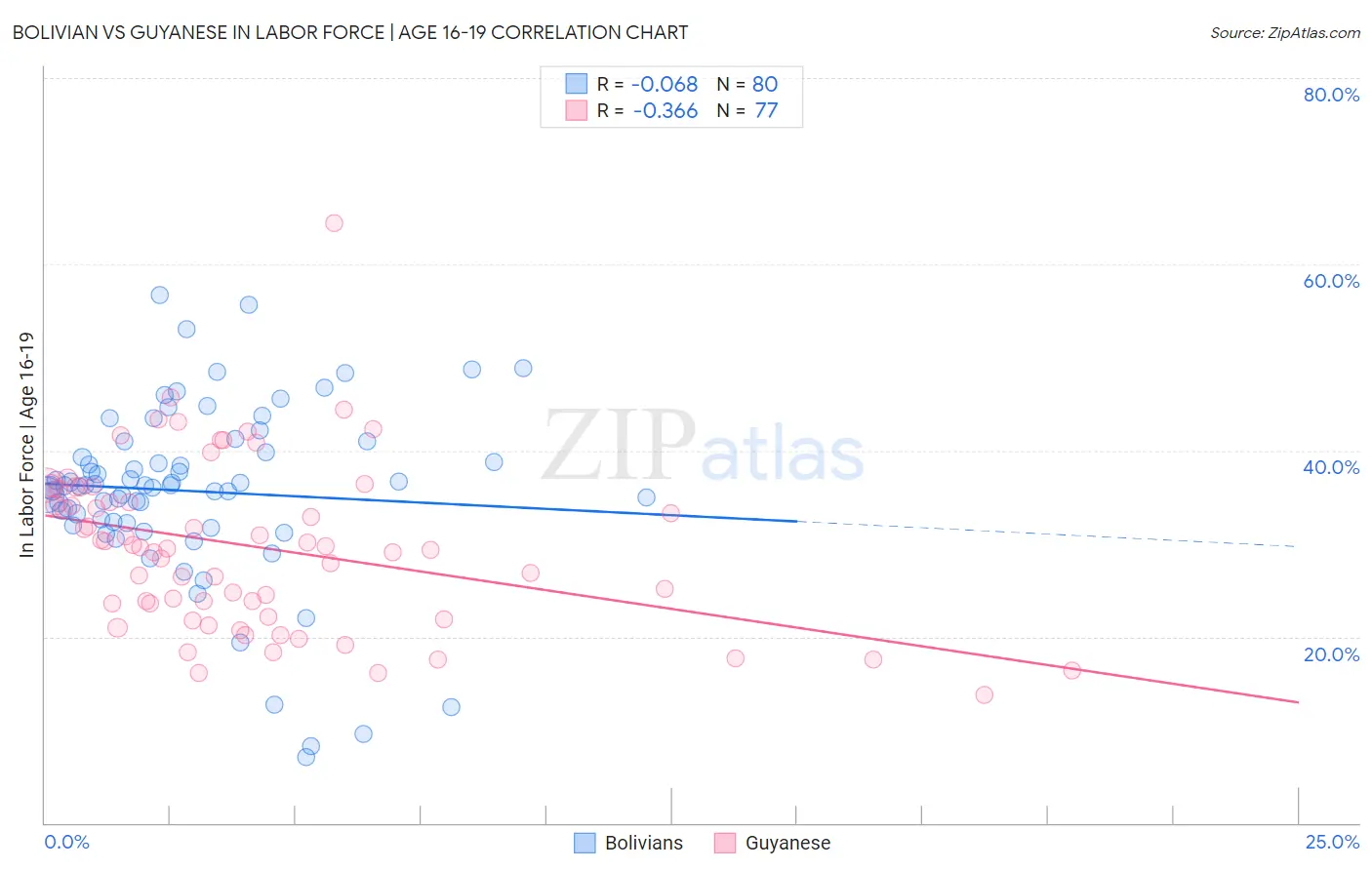 Bolivian vs Guyanese In Labor Force | Age 16-19
