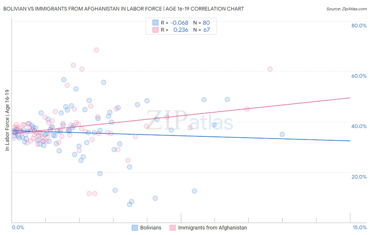Bolivian vs Immigrants from Afghanistan In Labor Force | Age 16-19