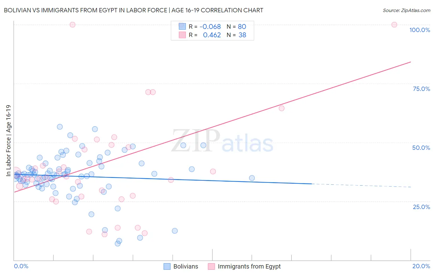 Bolivian vs Immigrants from Egypt In Labor Force | Age 16-19