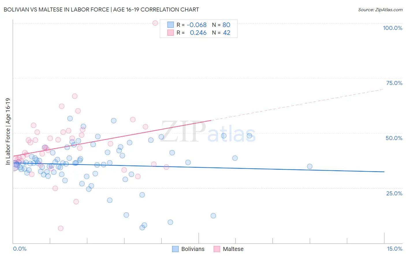Bolivian vs Maltese In Labor Force | Age 16-19