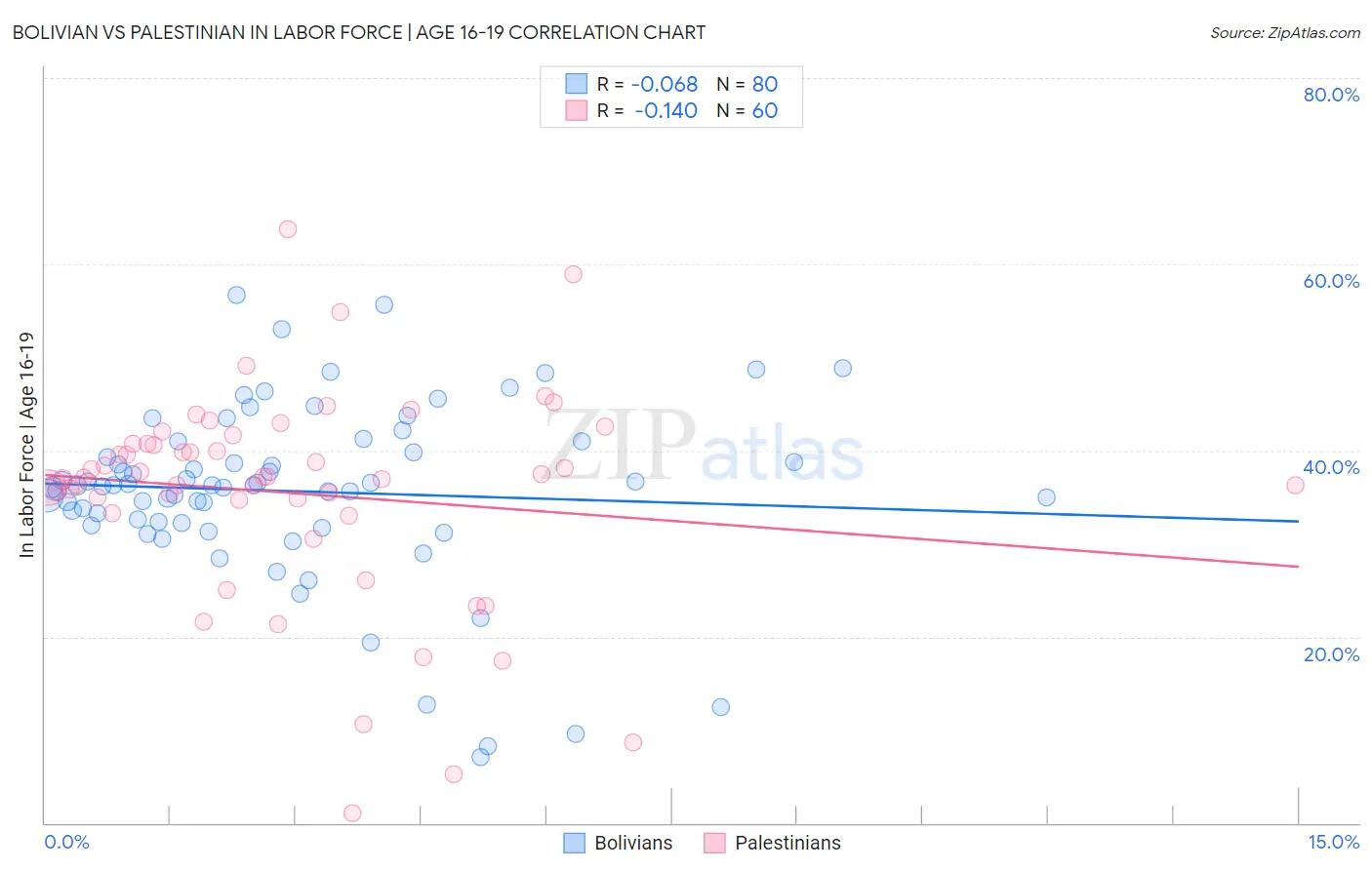 Bolivian vs Palestinian In Labor Force | Age 16-19