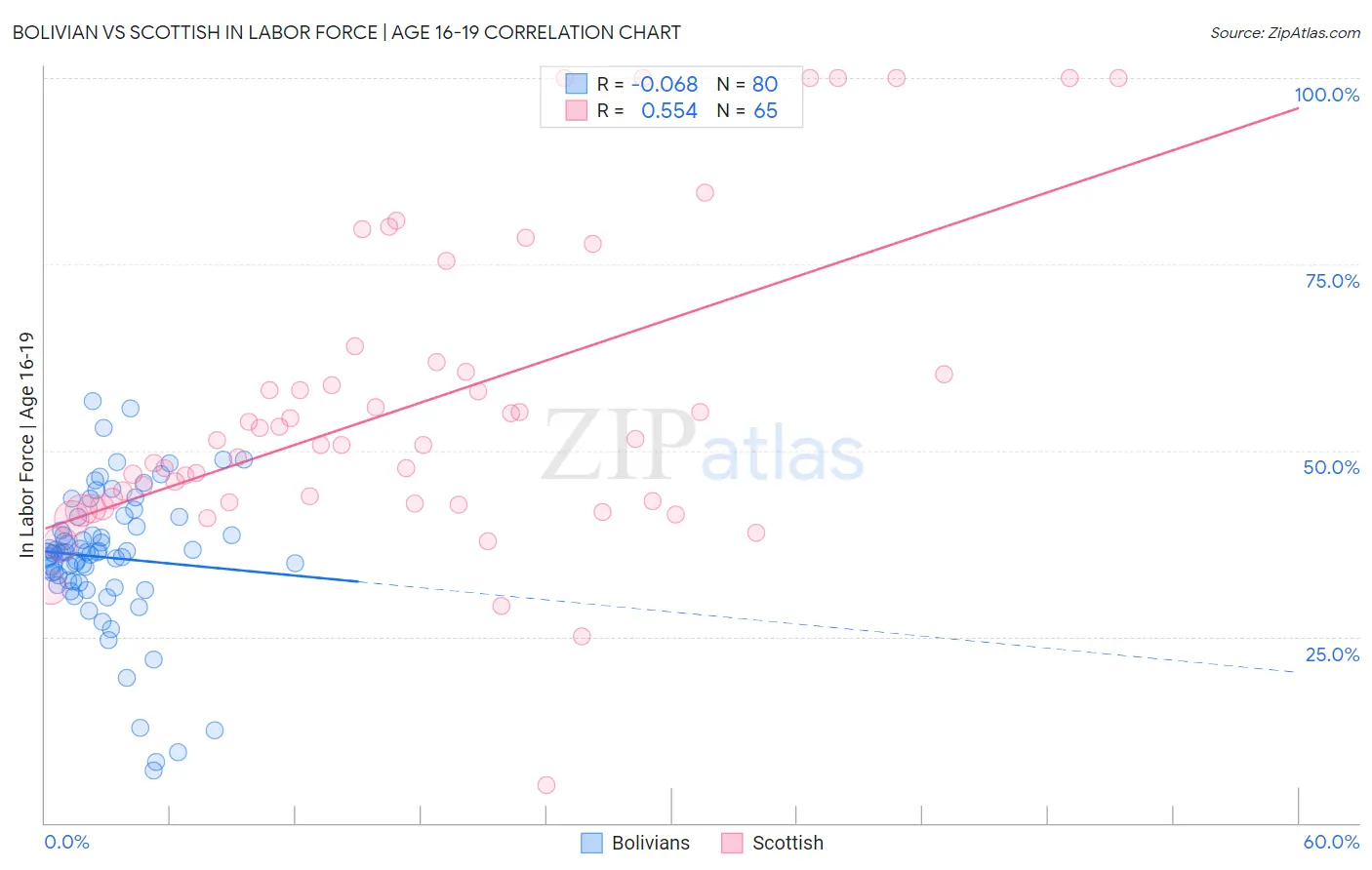 Bolivian vs Scottish In Labor Force | Age 16-19
