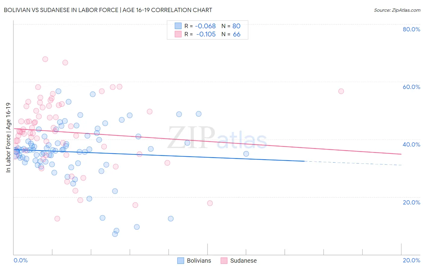 Bolivian vs Sudanese In Labor Force | Age 16-19