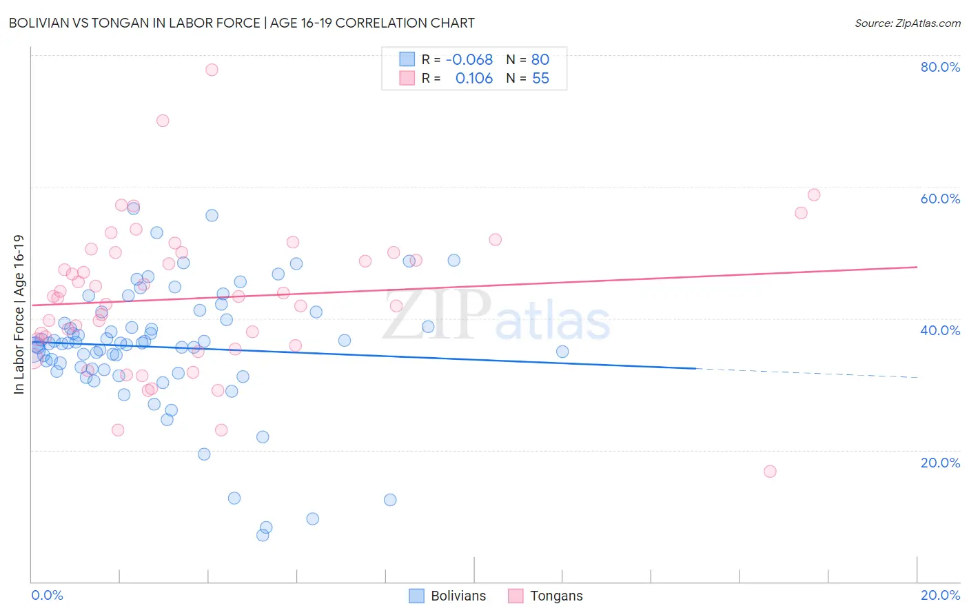 Bolivian vs Tongan In Labor Force | Age 16-19