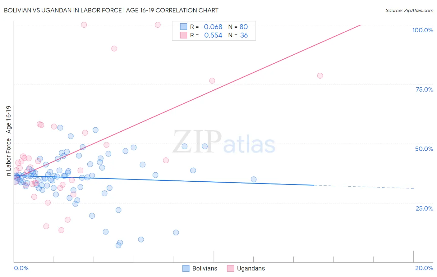 Bolivian vs Ugandan In Labor Force | Age 16-19