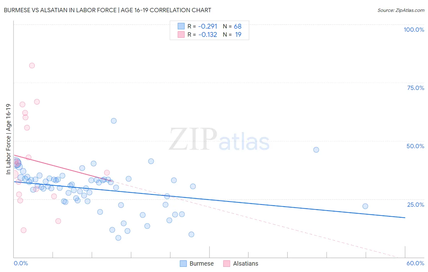 Burmese vs Alsatian In Labor Force | Age 16-19