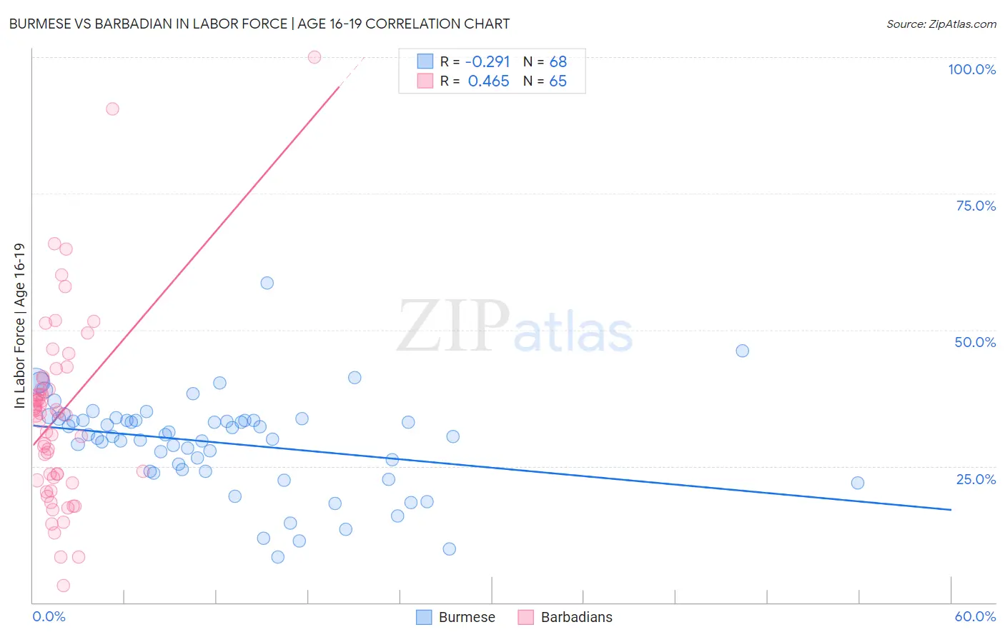 Burmese vs Barbadian In Labor Force | Age 16-19