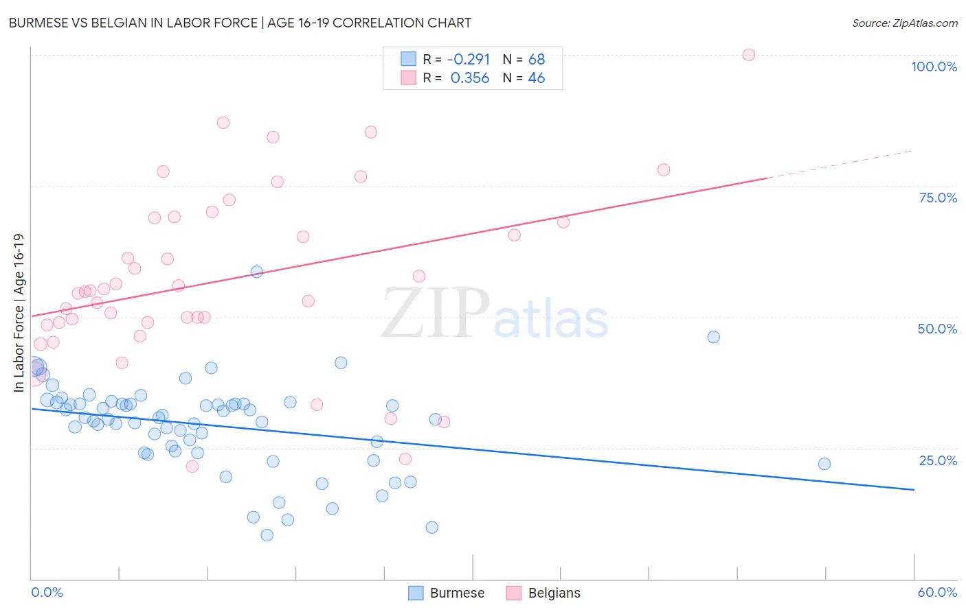 Burmese vs Belgian In Labor Force | Age 16-19