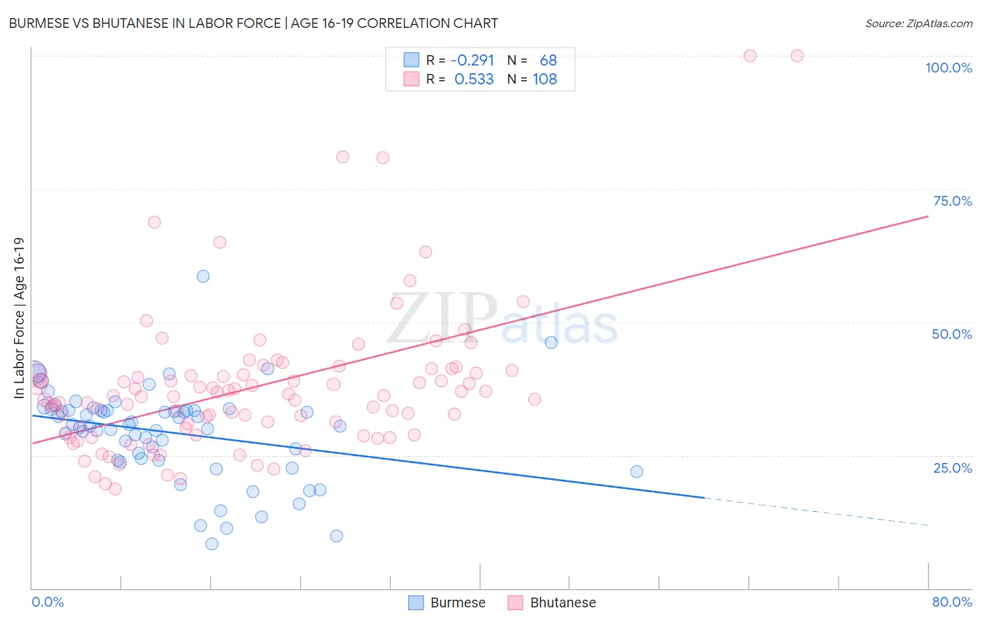 Burmese vs Bhutanese In Labor Force | Age 16-19