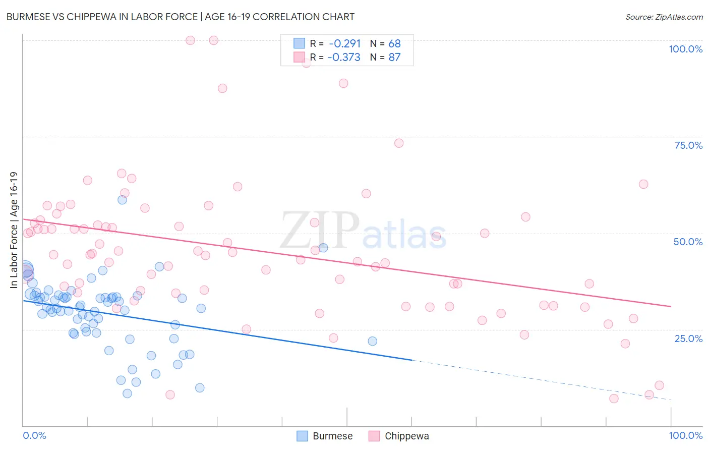 Burmese vs Chippewa In Labor Force | Age 16-19