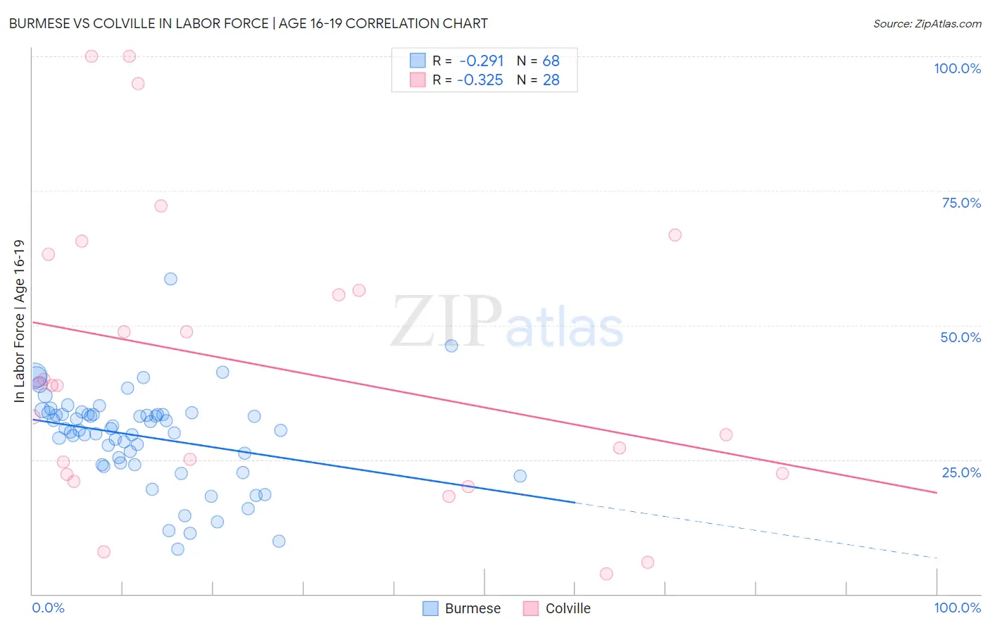 Burmese vs Colville In Labor Force | Age 16-19