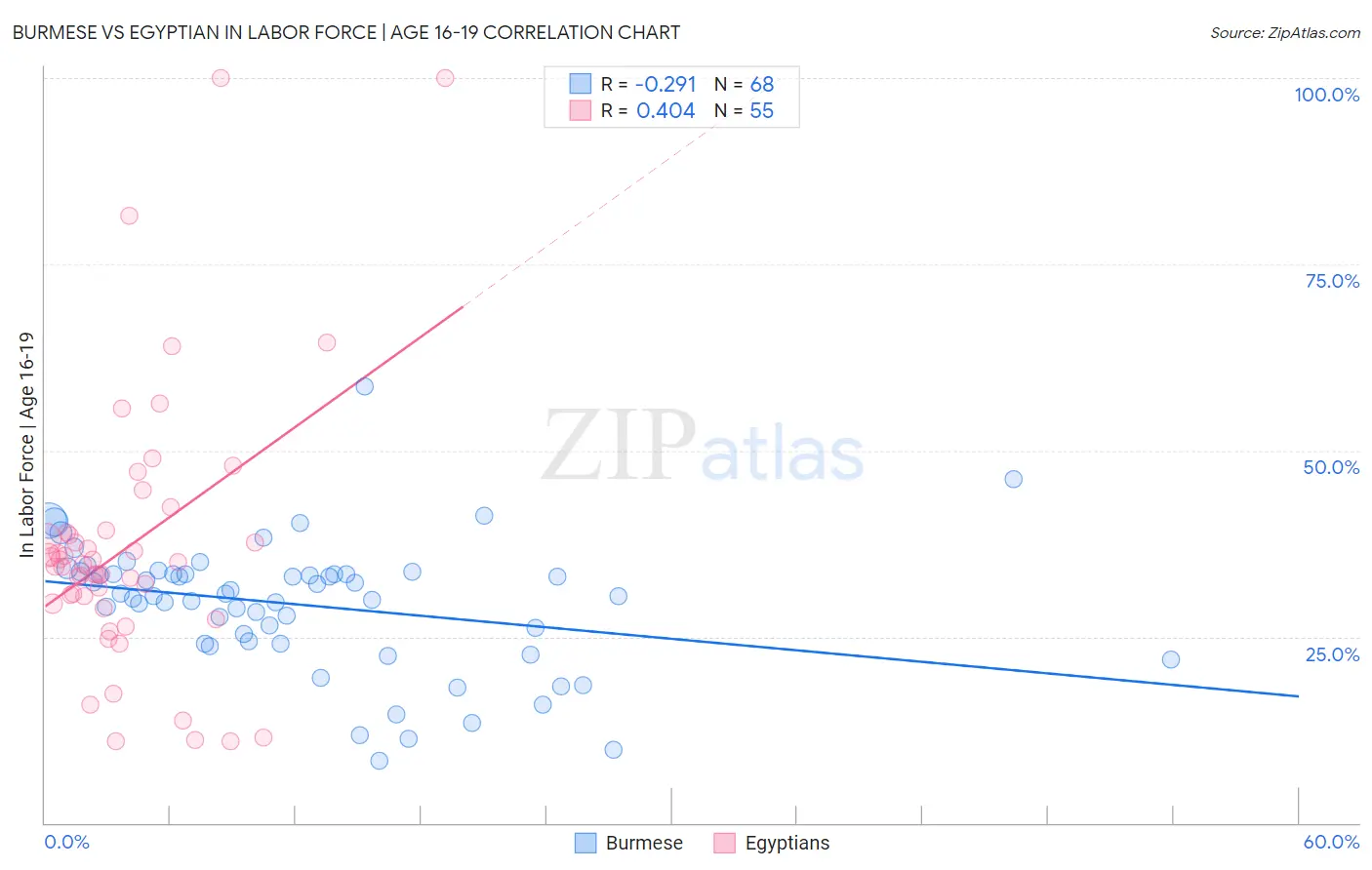 Burmese vs Egyptian In Labor Force | Age 16-19