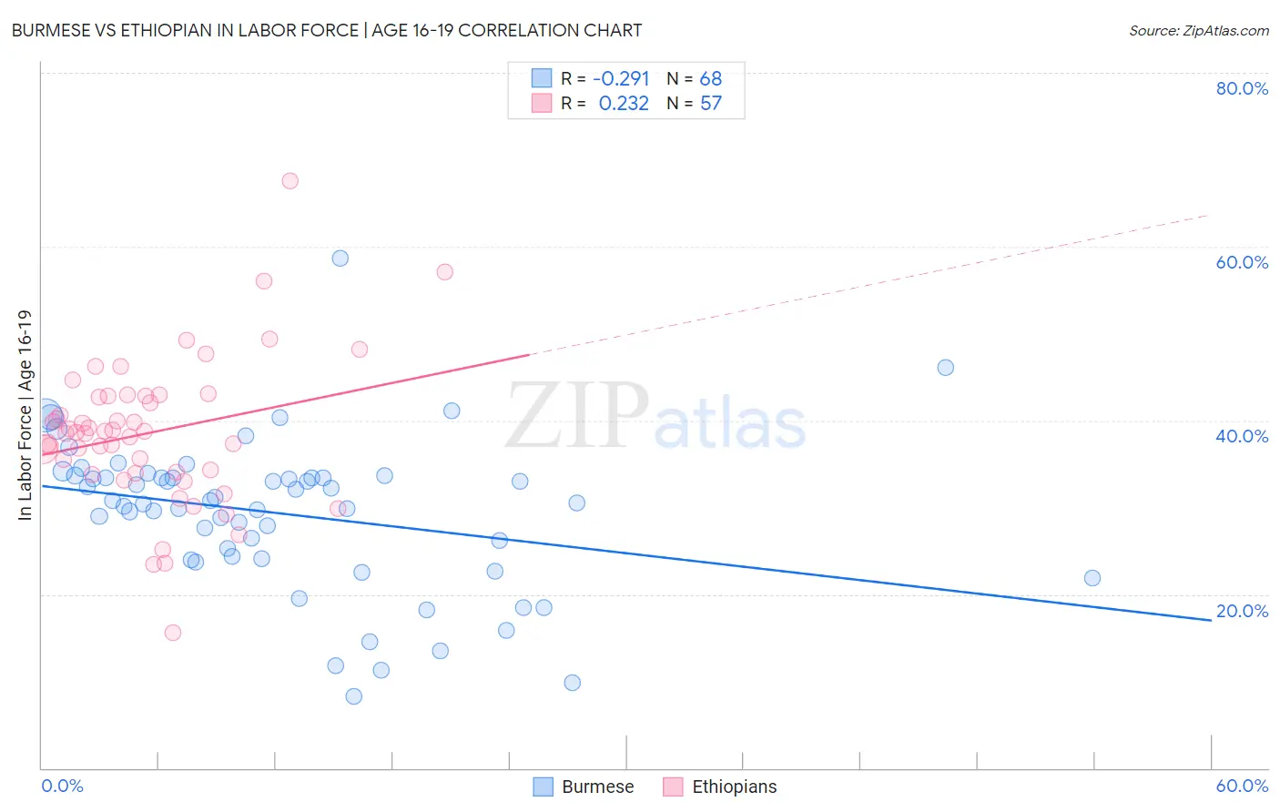 Burmese vs Ethiopian In Labor Force | Age 16-19