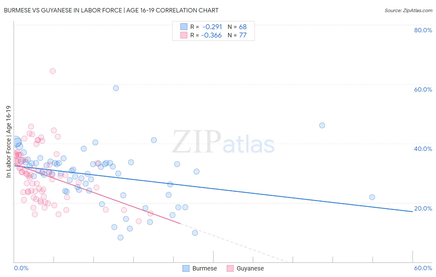Burmese vs Guyanese In Labor Force | Age 16-19