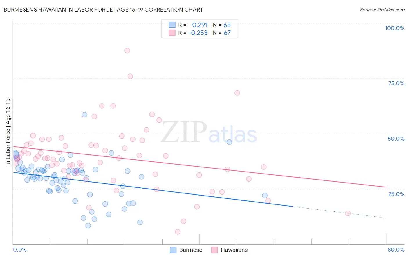 Burmese vs Hawaiian In Labor Force | Age 16-19