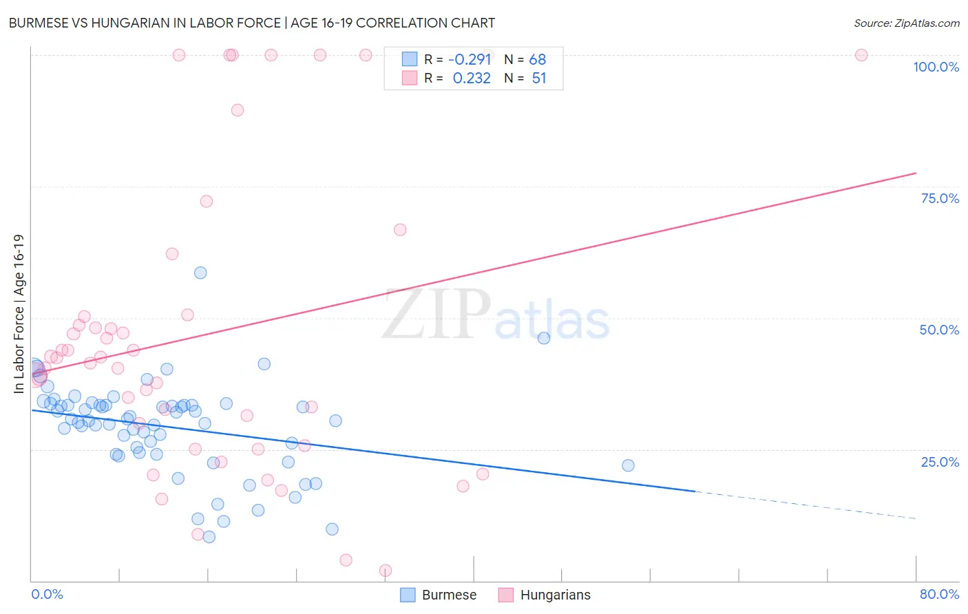 Burmese vs Hungarian In Labor Force | Age 16-19