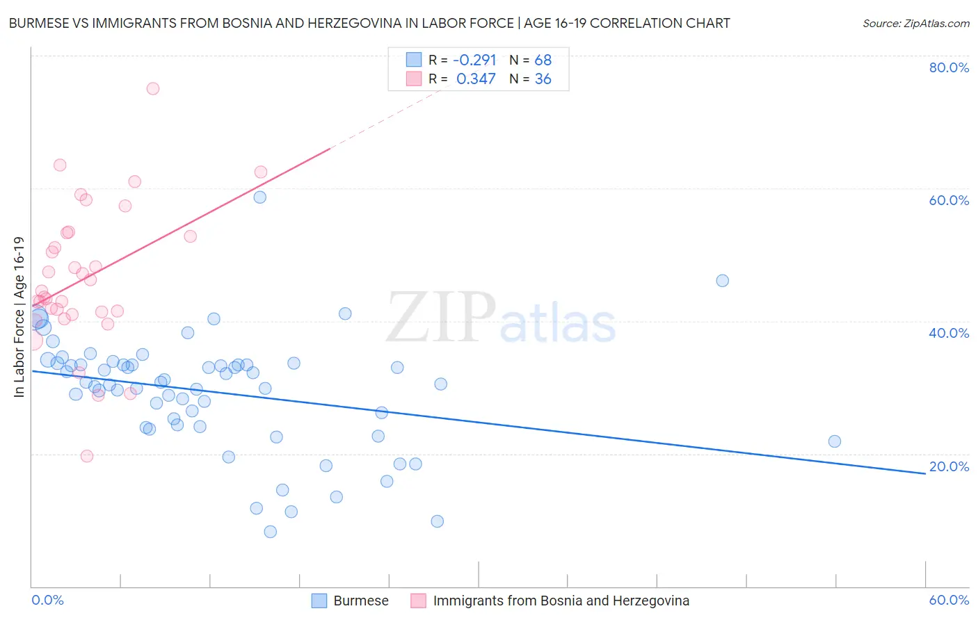 Burmese vs Immigrants from Bosnia and Herzegovina In Labor Force | Age 16-19