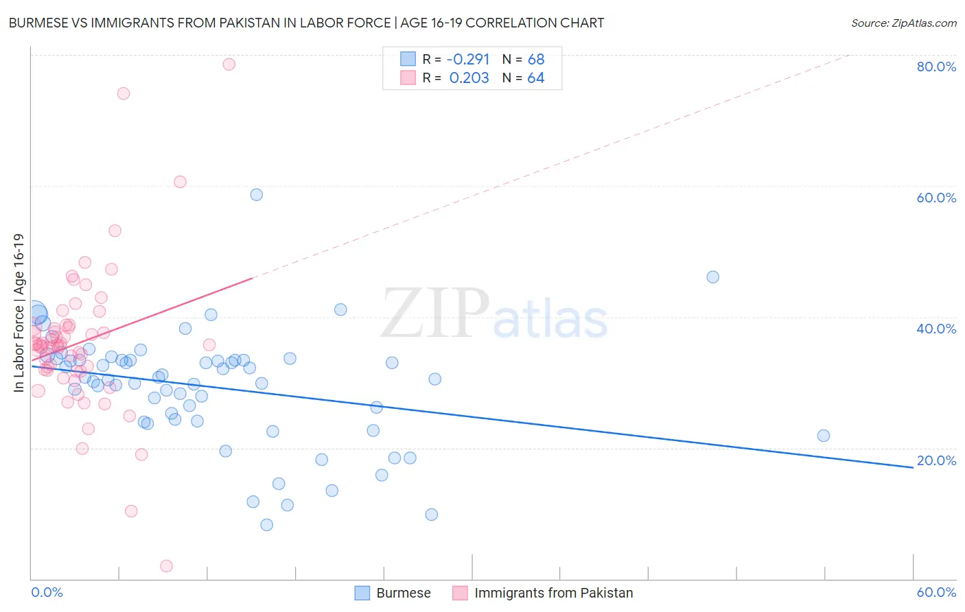 Burmese vs Immigrants from Pakistan In Labor Force | Age 16-19