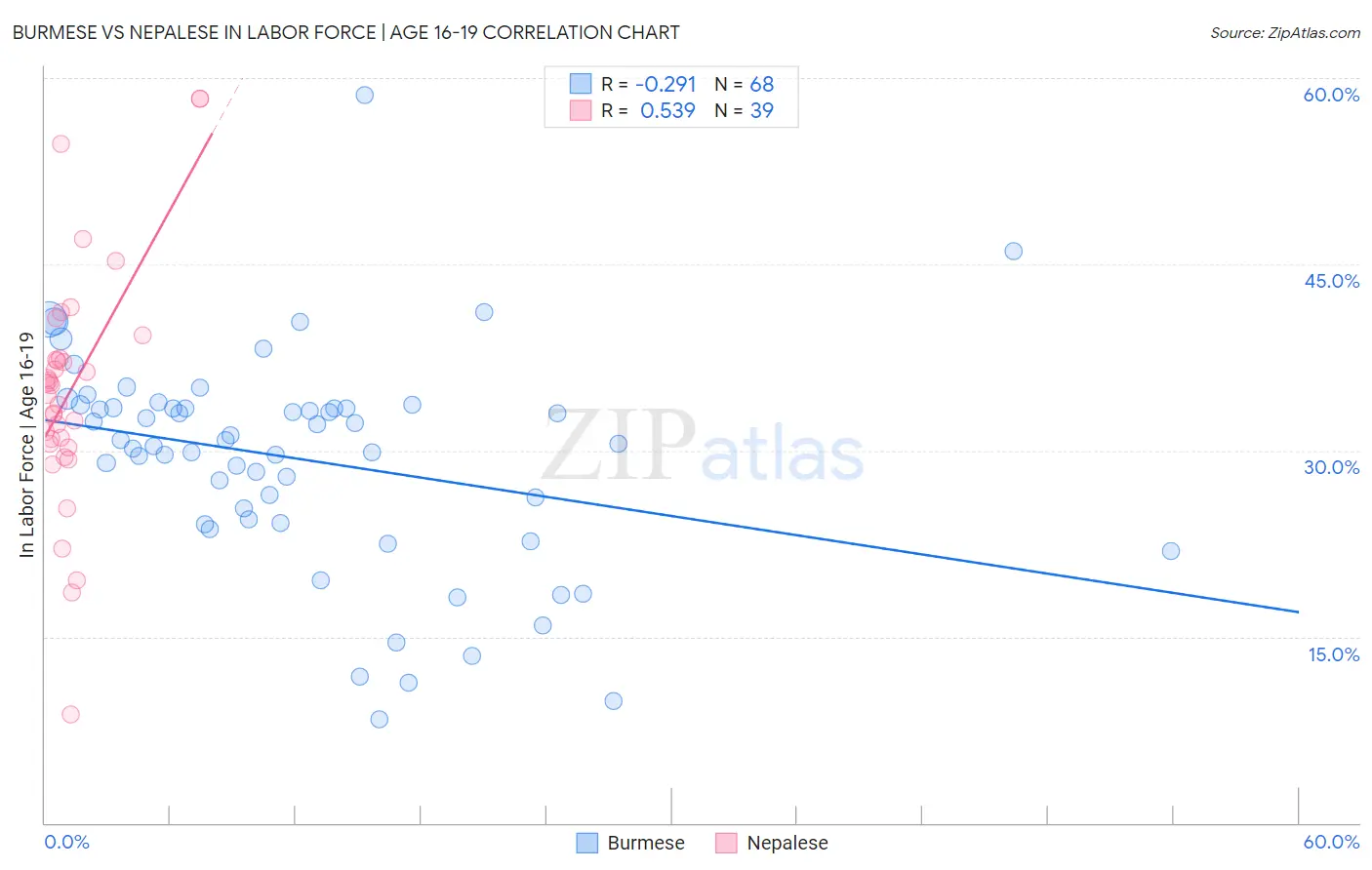 Burmese vs Nepalese In Labor Force | Age 16-19