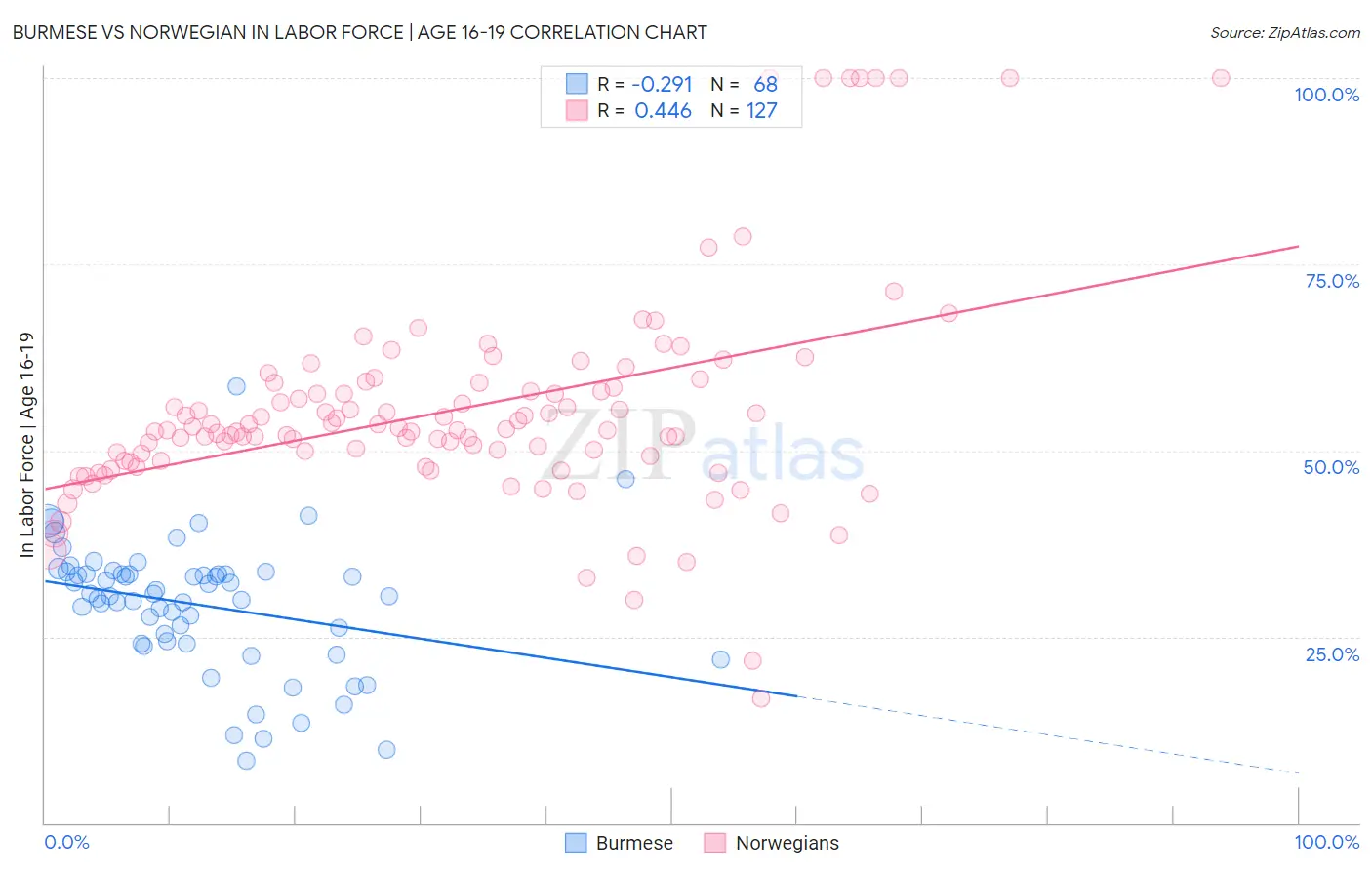 Burmese vs Norwegian In Labor Force | Age 16-19