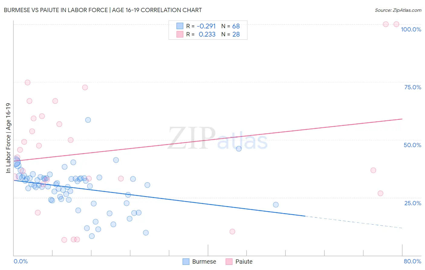 Burmese vs Paiute In Labor Force | Age 16-19