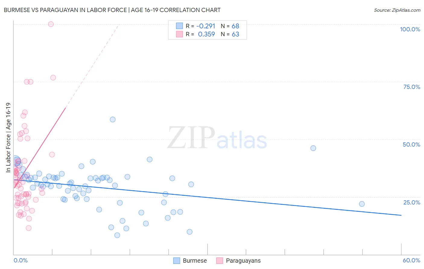 Burmese vs Paraguayan In Labor Force | Age 16-19