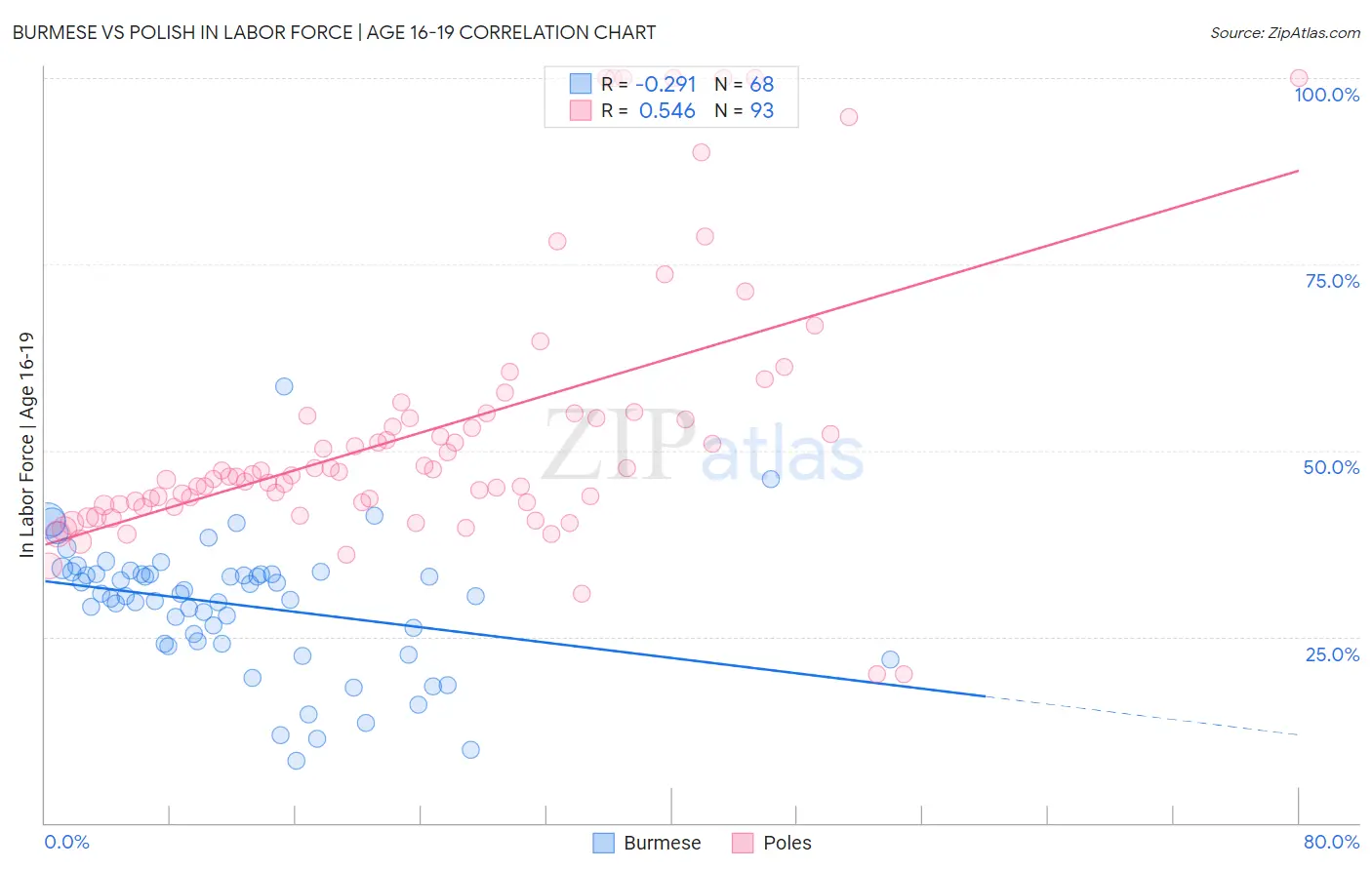 Burmese vs Polish In Labor Force | Age 16-19
