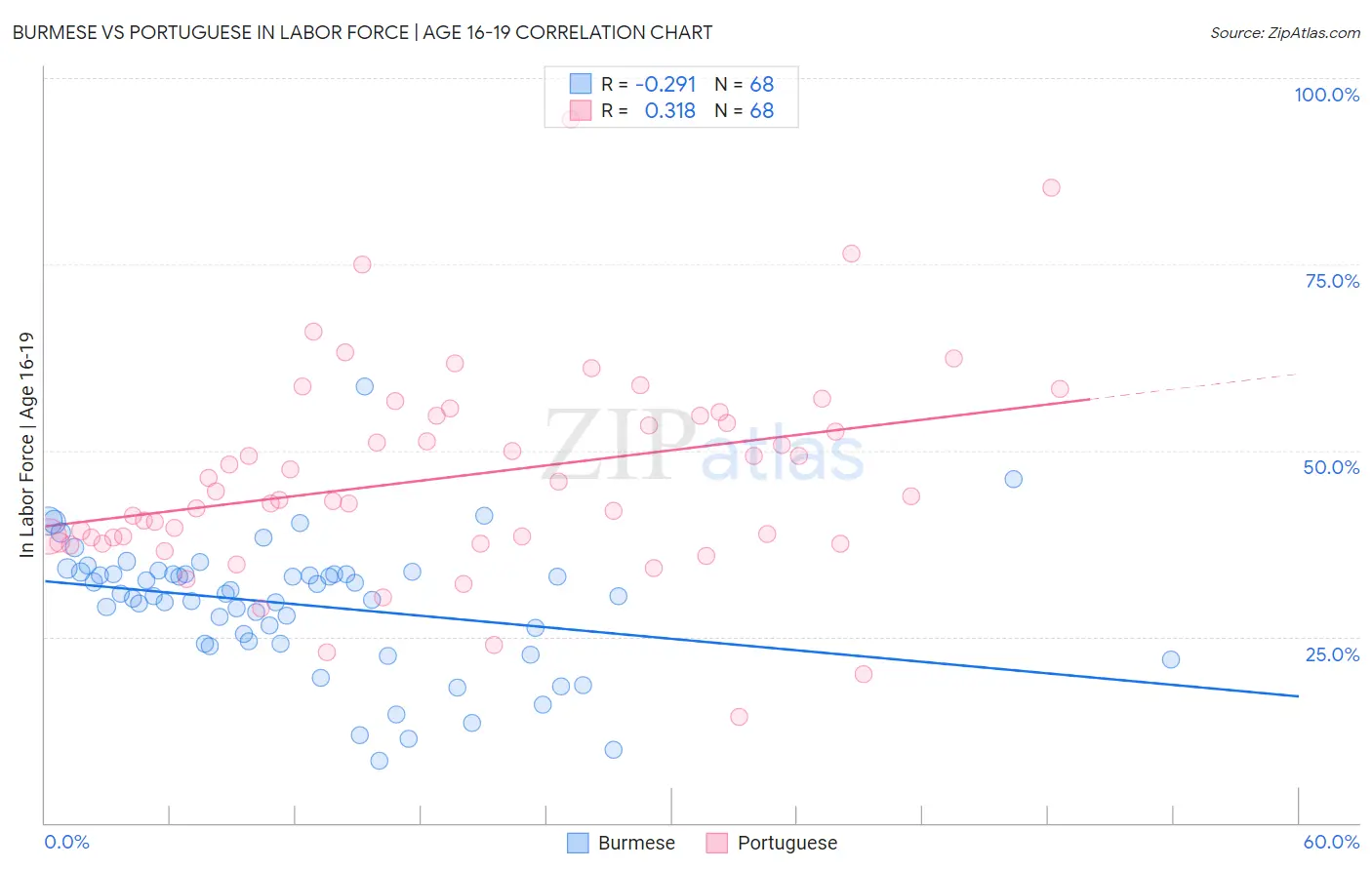 Burmese vs Portuguese In Labor Force | Age 16-19