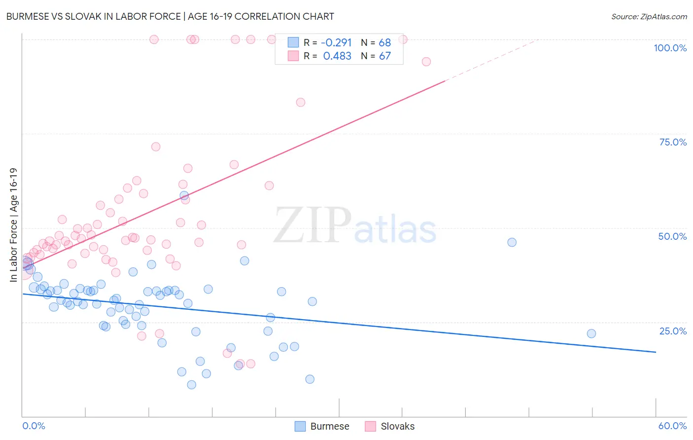Burmese vs Slovak In Labor Force | Age 16-19