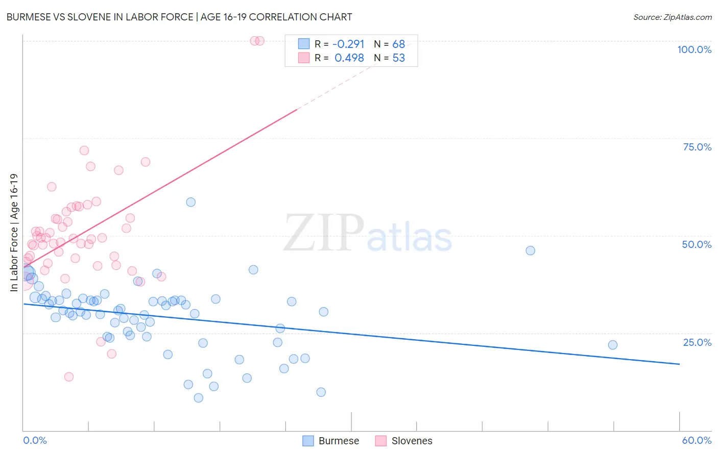 Burmese vs Slovene In Labor Force | Age 16-19