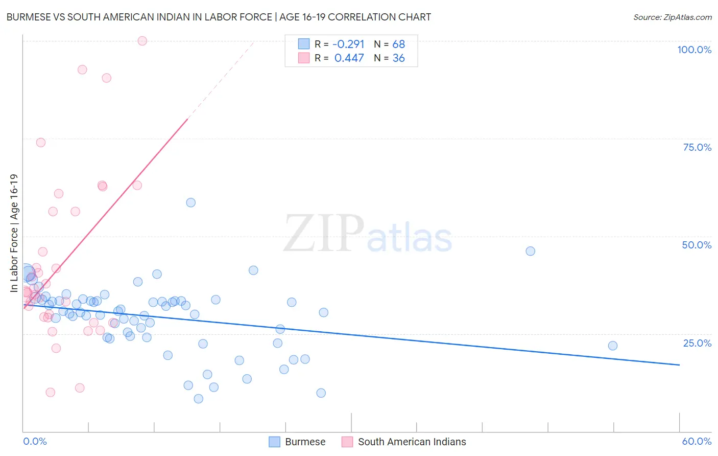 Burmese vs South American Indian In Labor Force | Age 16-19