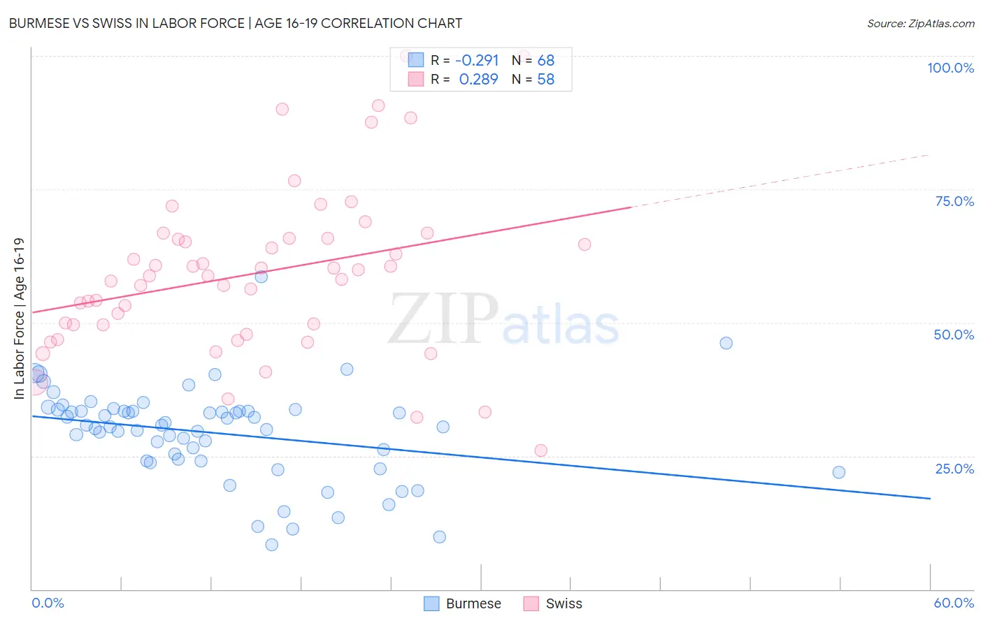 Burmese vs Swiss In Labor Force | Age 16-19