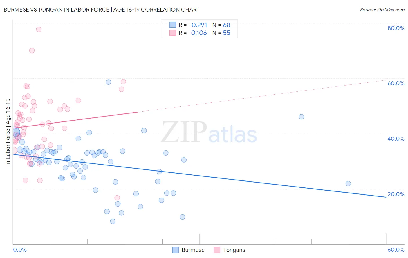 Burmese vs Tongan In Labor Force | Age 16-19