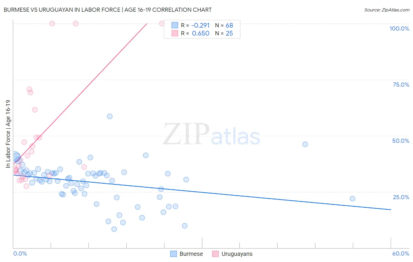 Burmese vs Uruguayan In Labor Force | Age 16-19