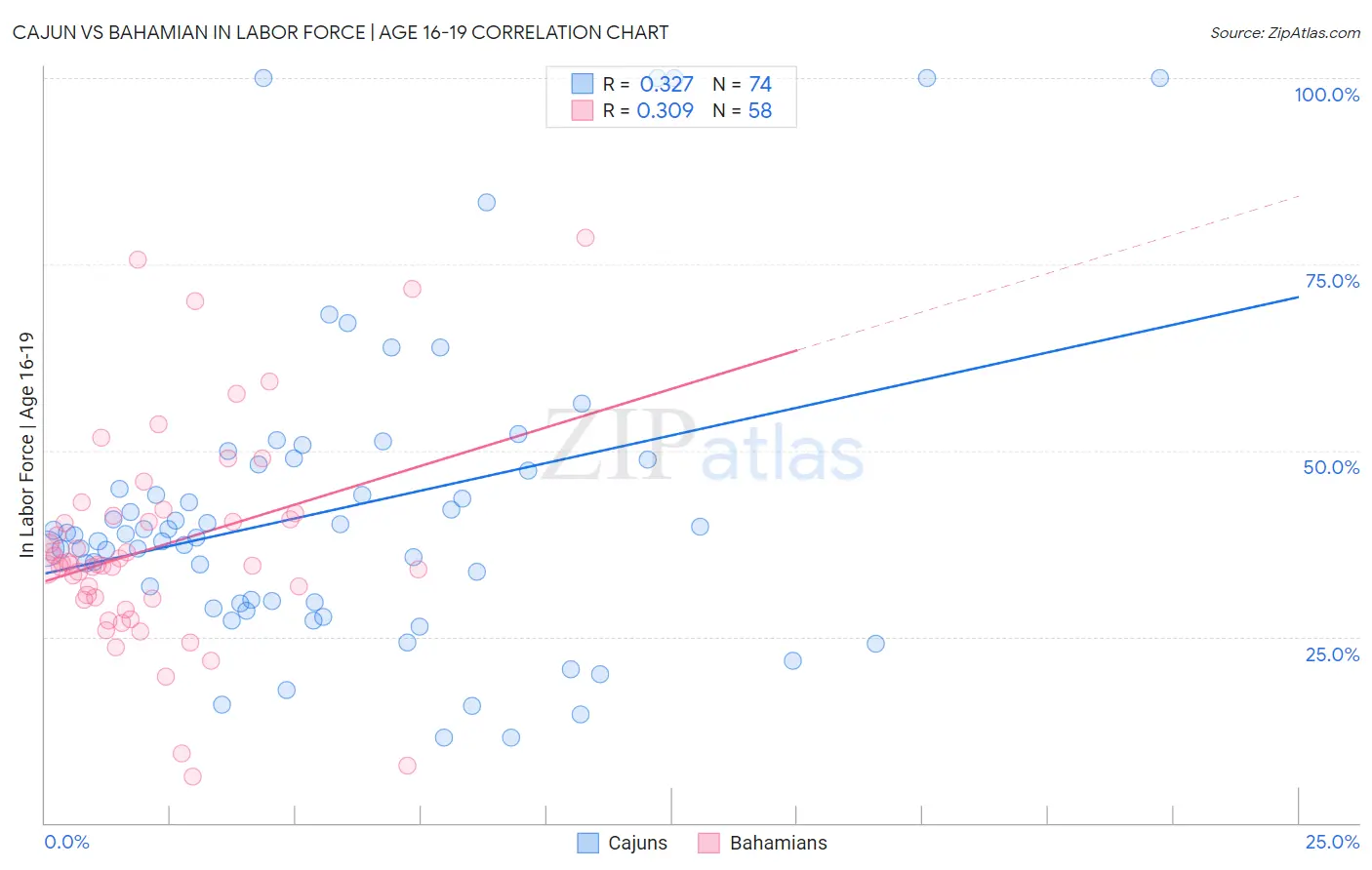 Cajun vs Bahamian In Labor Force | Age 16-19