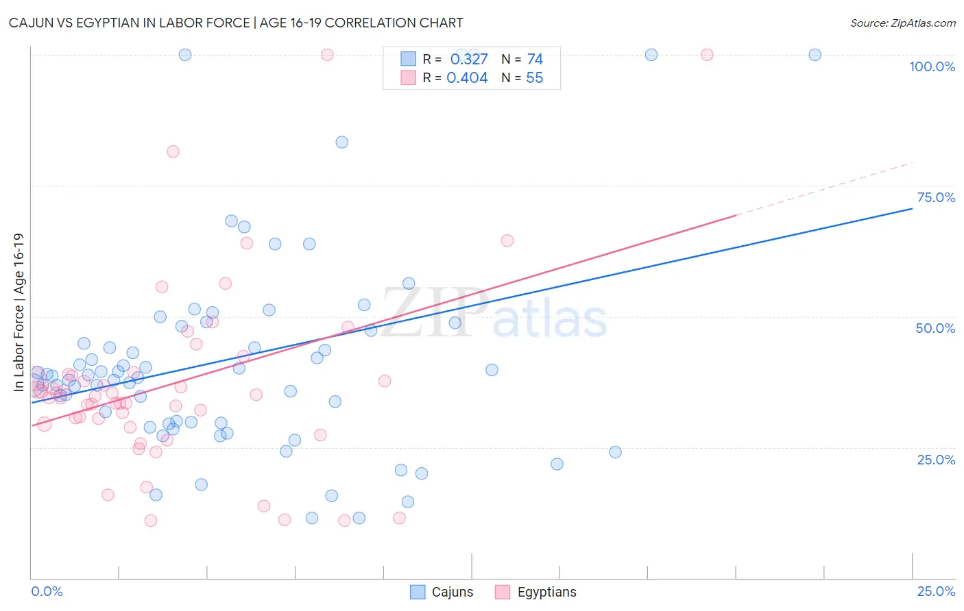 Cajun vs Egyptian In Labor Force | Age 16-19