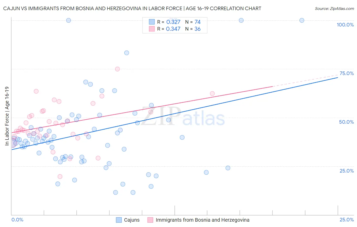 Cajun vs Immigrants from Bosnia and Herzegovina In Labor Force | Age 16-19