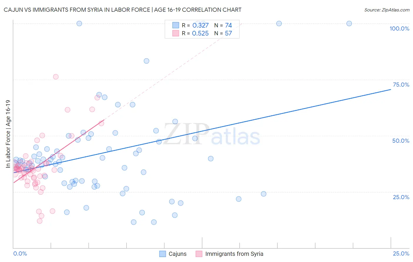 Cajun vs Immigrants from Syria In Labor Force | Age 16-19