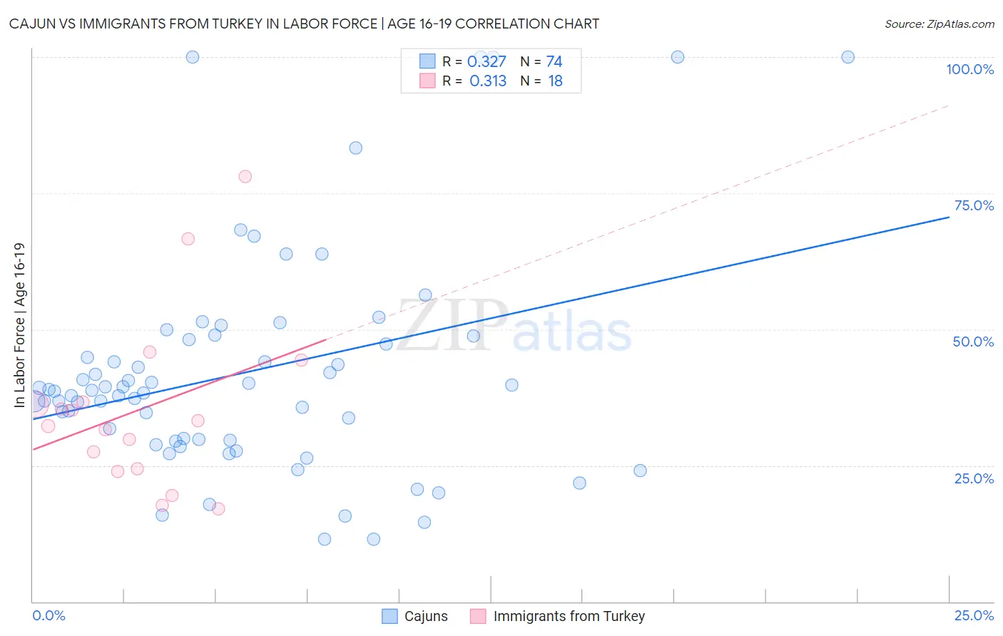 Cajun vs Immigrants from Turkey In Labor Force | Age 16-19