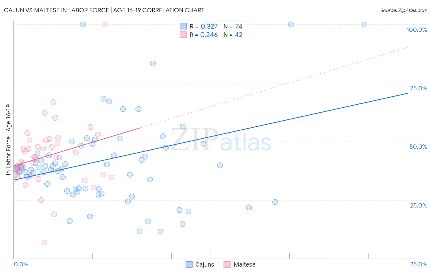 Cajun vs Maltese In Labor Force | Age 16-19