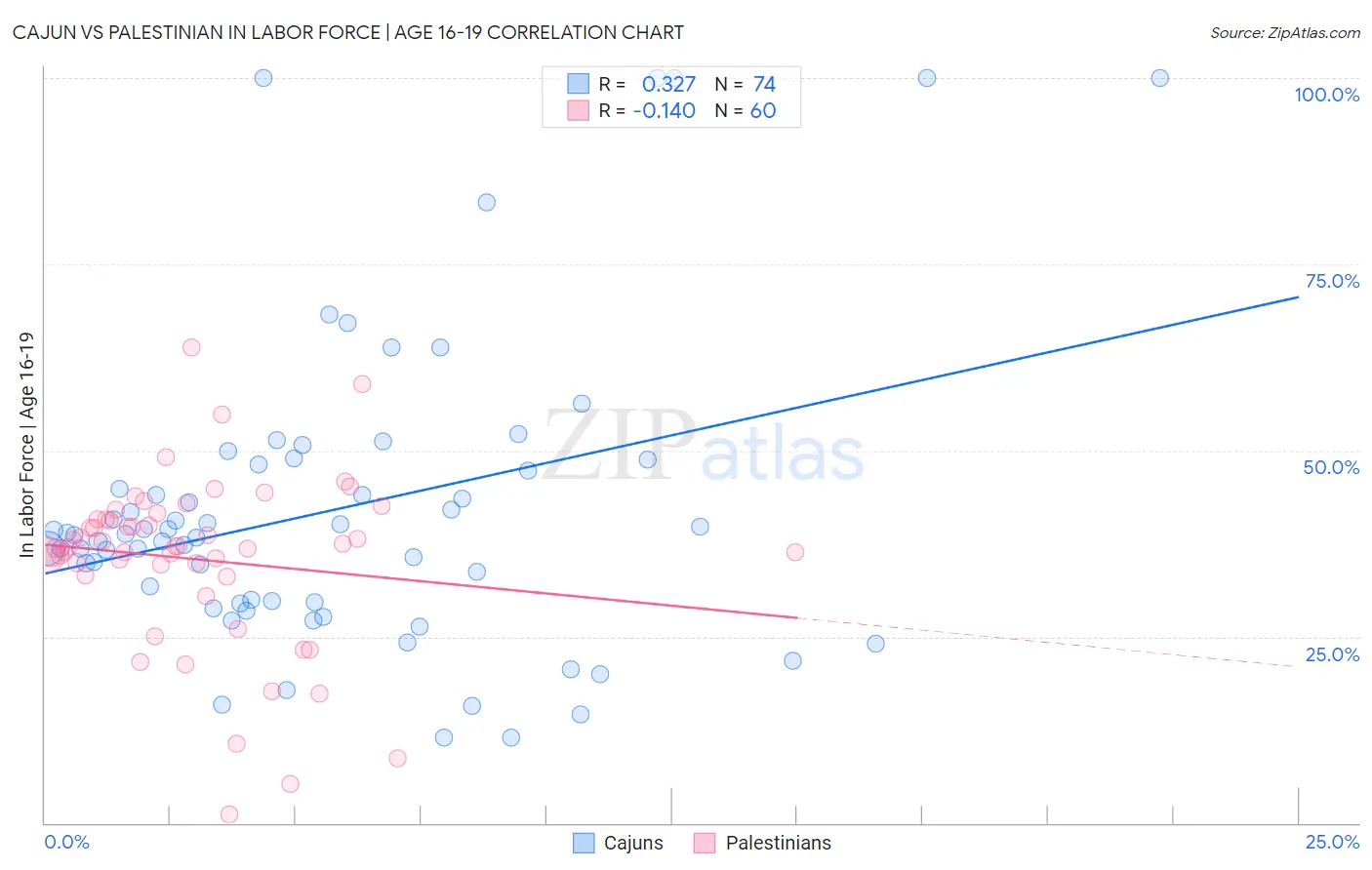 Cajun vs Palestinian In Labor Force | Age 16-19