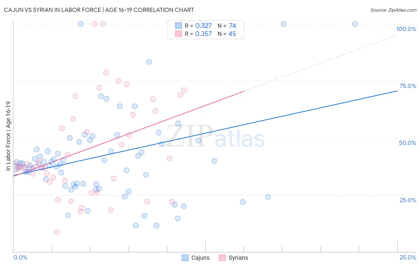 Cajun vs Syrian In Labor Force | Age 16-19